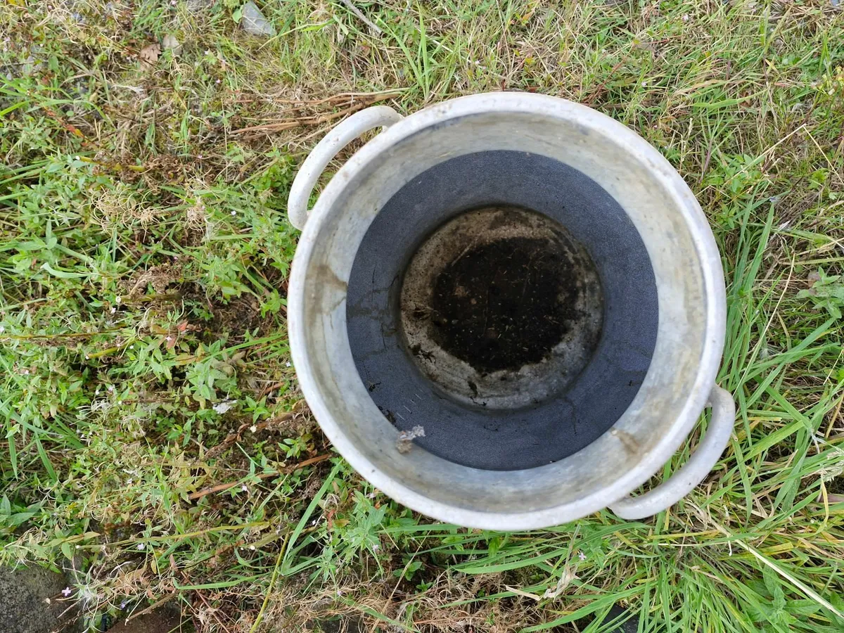 Milk Can - Image 4
