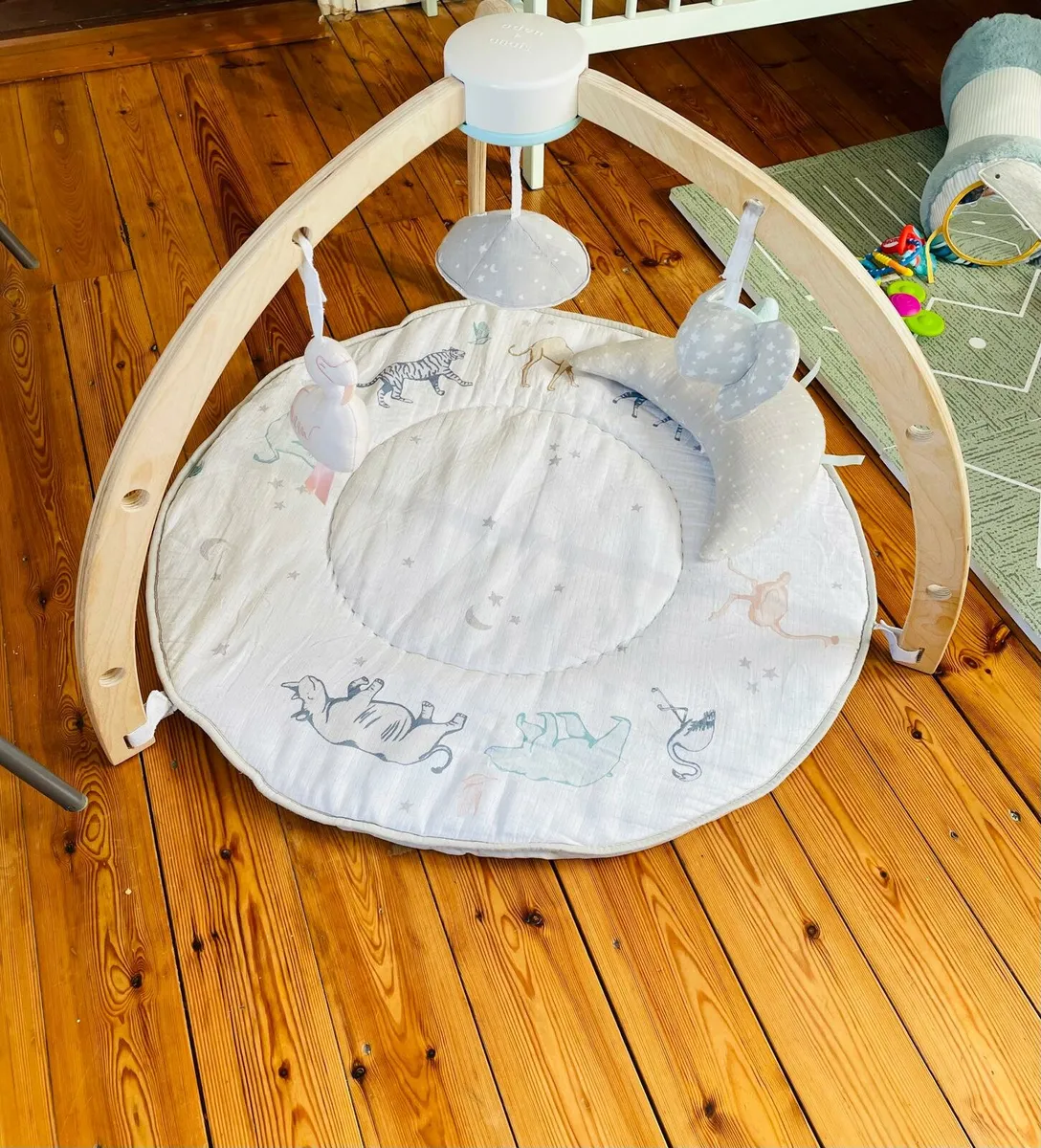 Baby Activity Gym - Image 1