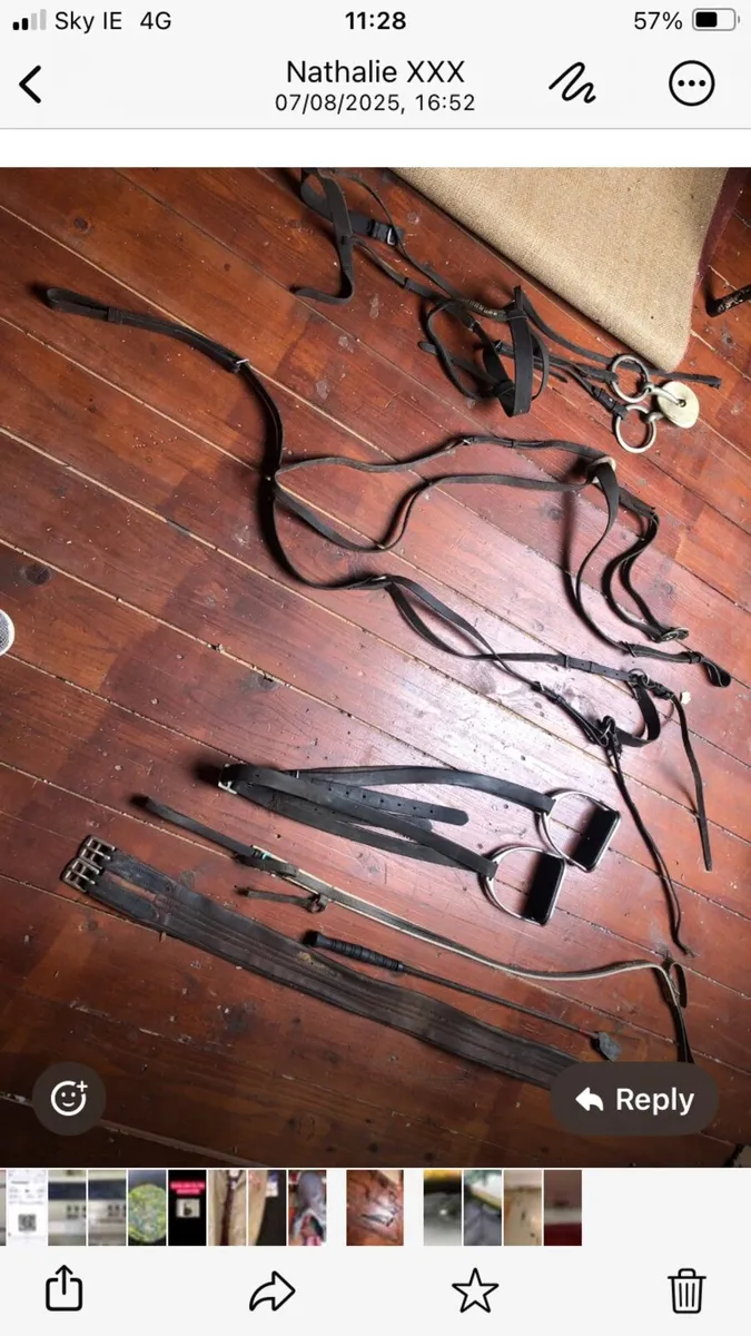 Horse Riding saddle - Image 1