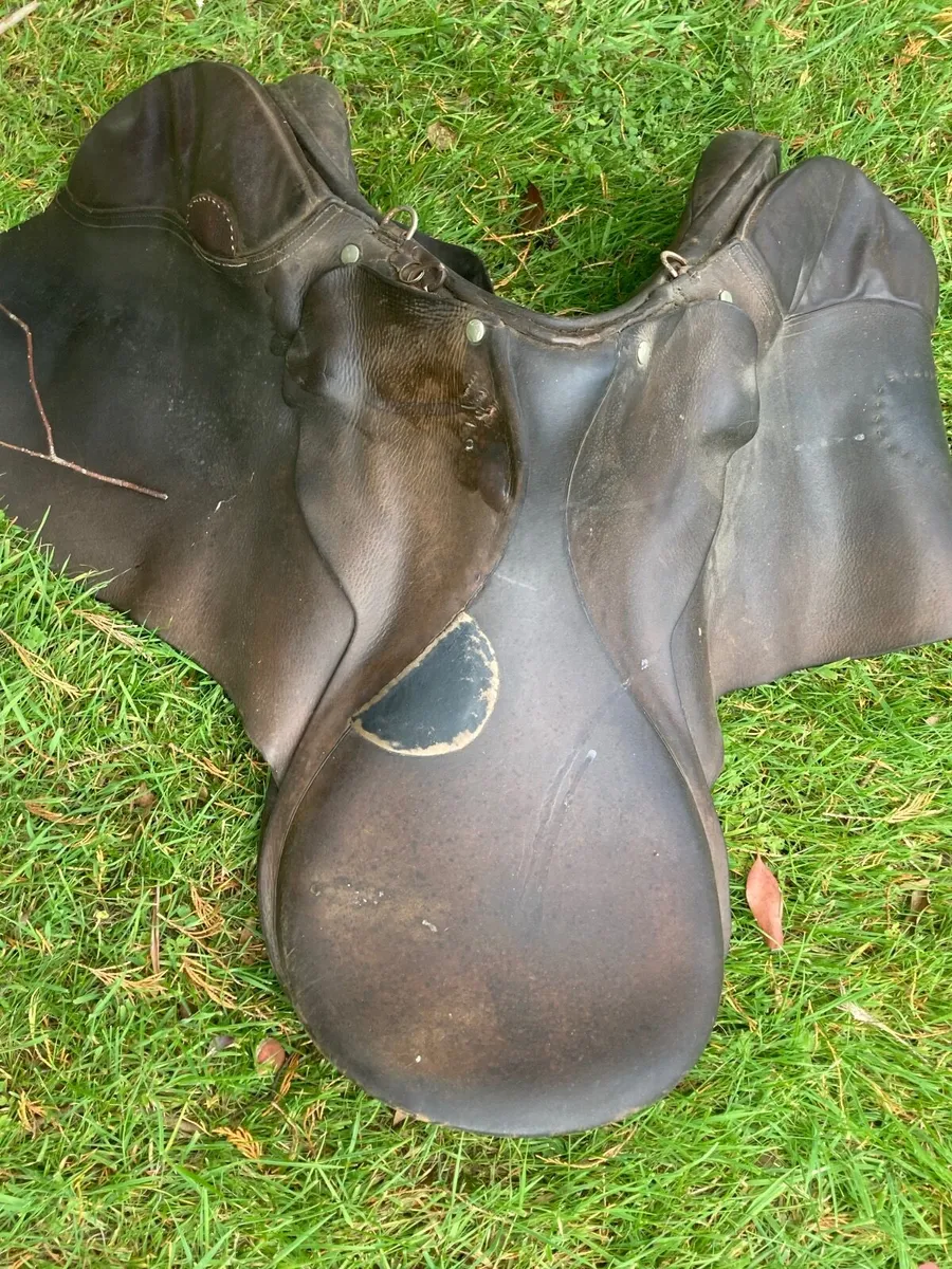 Horse Riding saddle - Image 3
