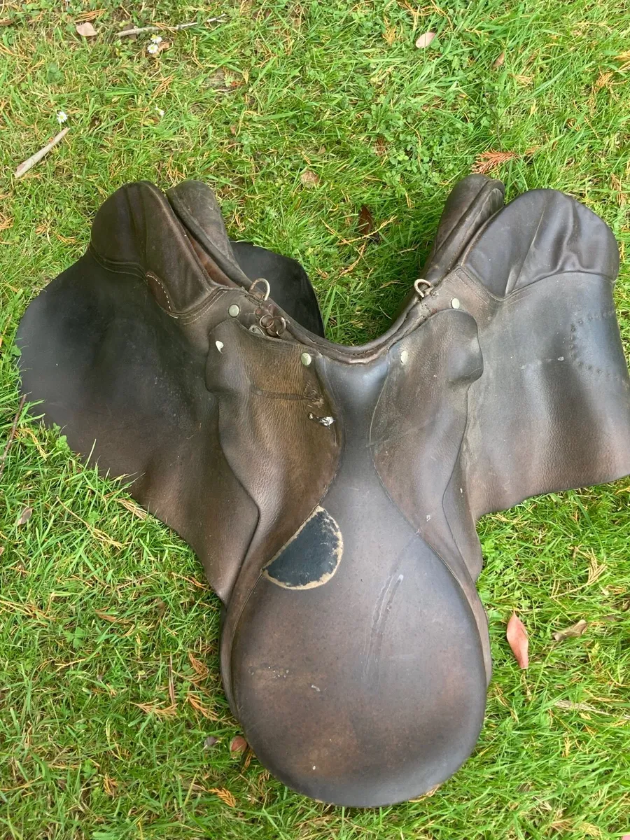 Horse Riding saddle - Image 4