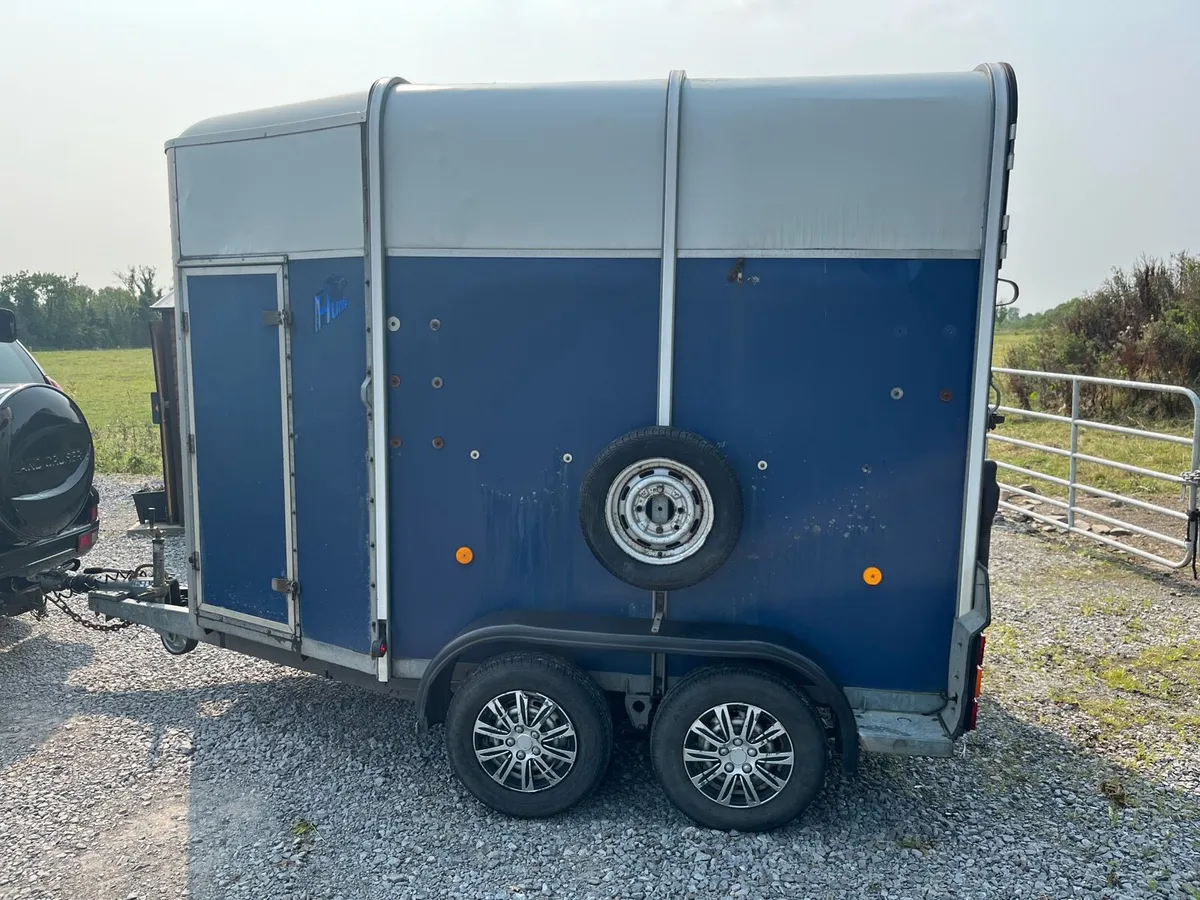 Ivor Williams 505 horse box - Image 4