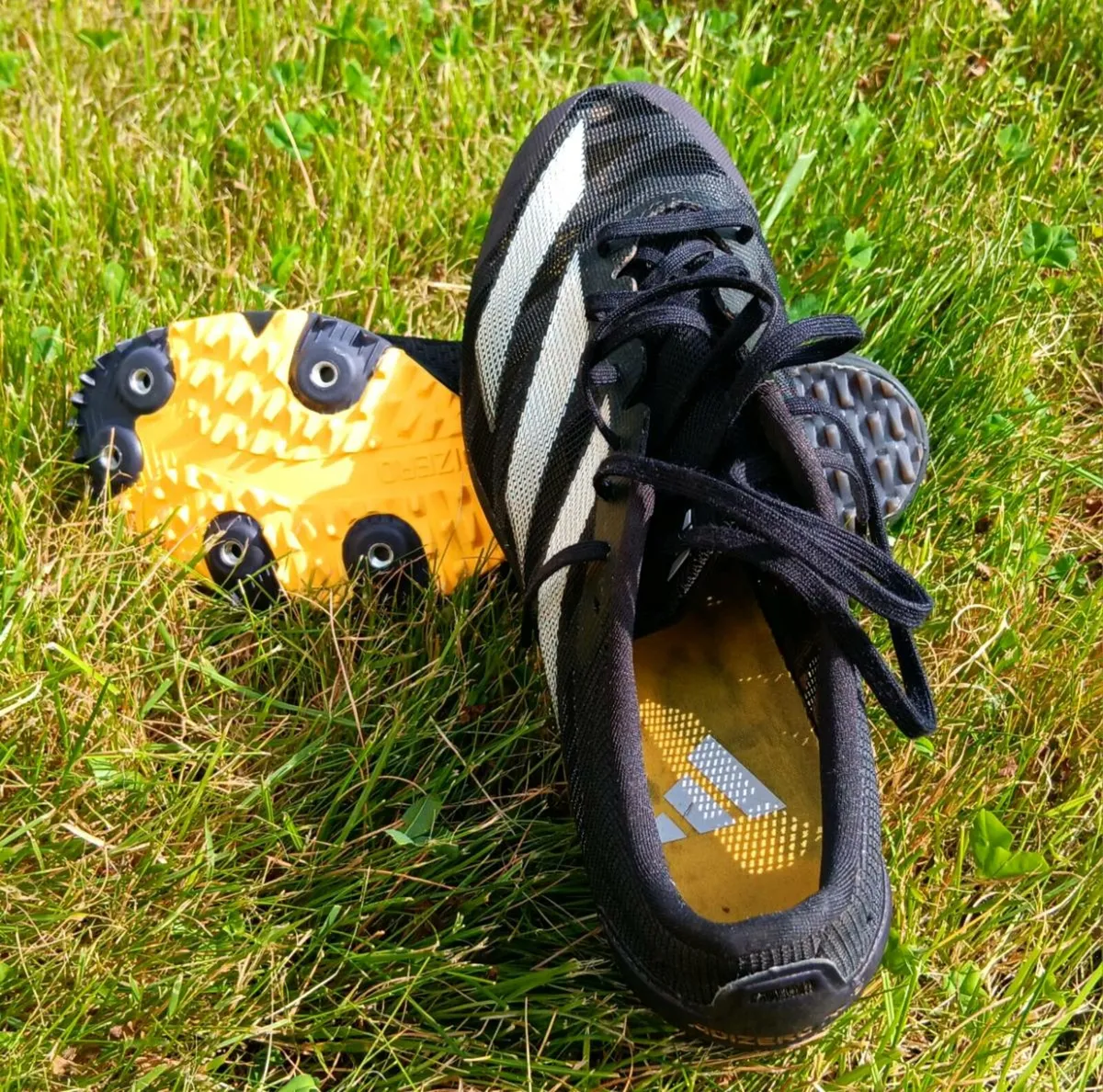 Running Spikes - Image 2