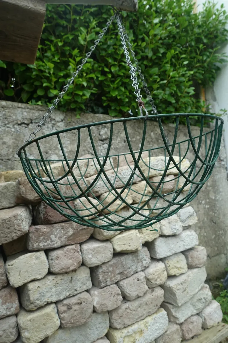 Large Hanging Basket - Image 1