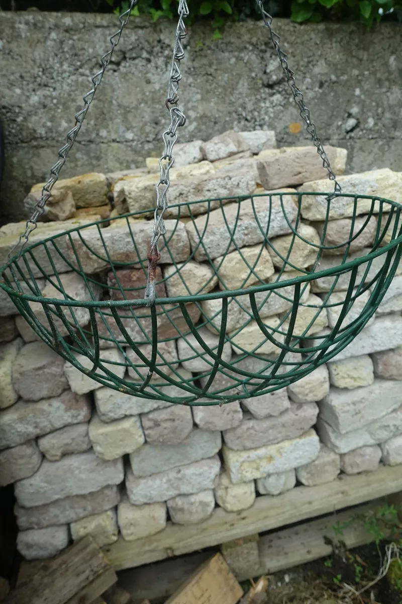 Large Hanging Basket - Image 2