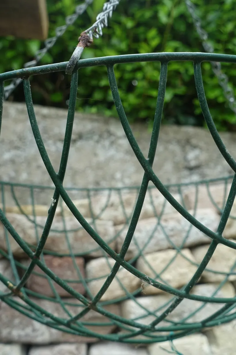 Large Hanging Basket - Image 3