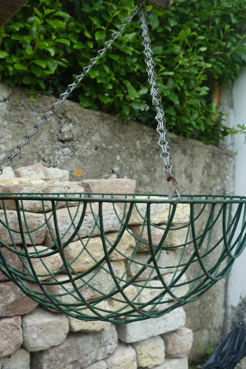 Large Hanging Basket - Image 4