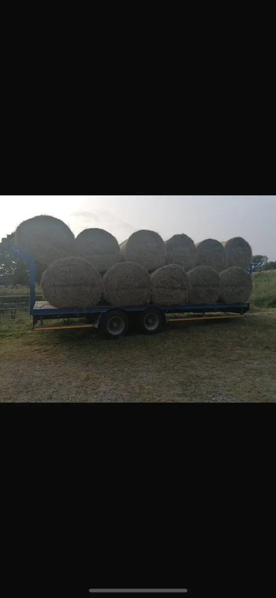 Hay - Image 1