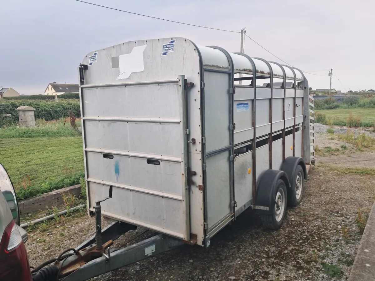 Ifor Williams sheep cattle box - Image 1