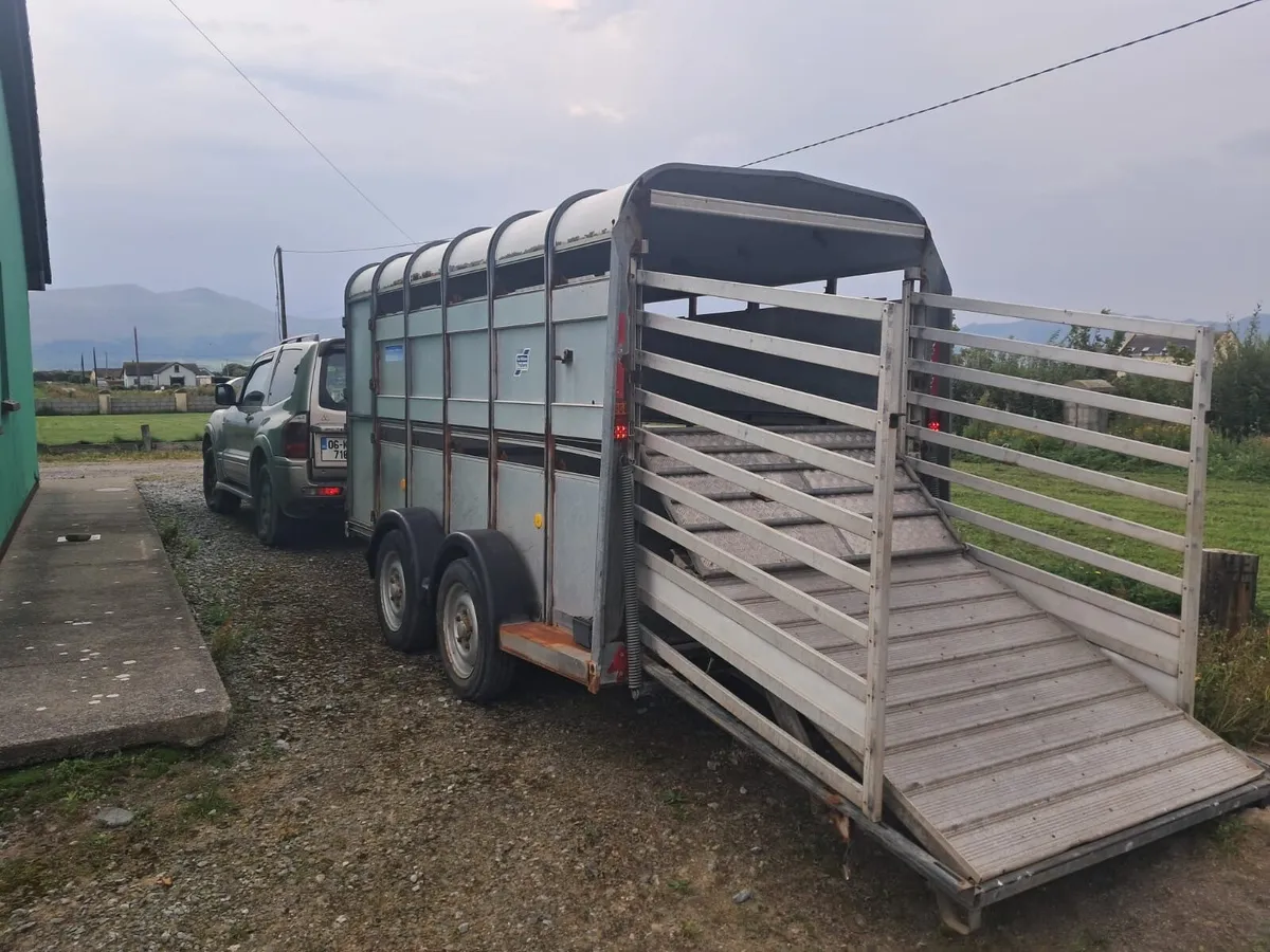 Ifor Williams sheep cattle box - Image 2