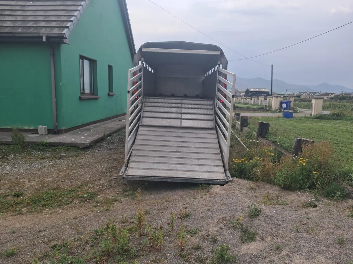 Ifor Williams sheep cattle box - Image 4