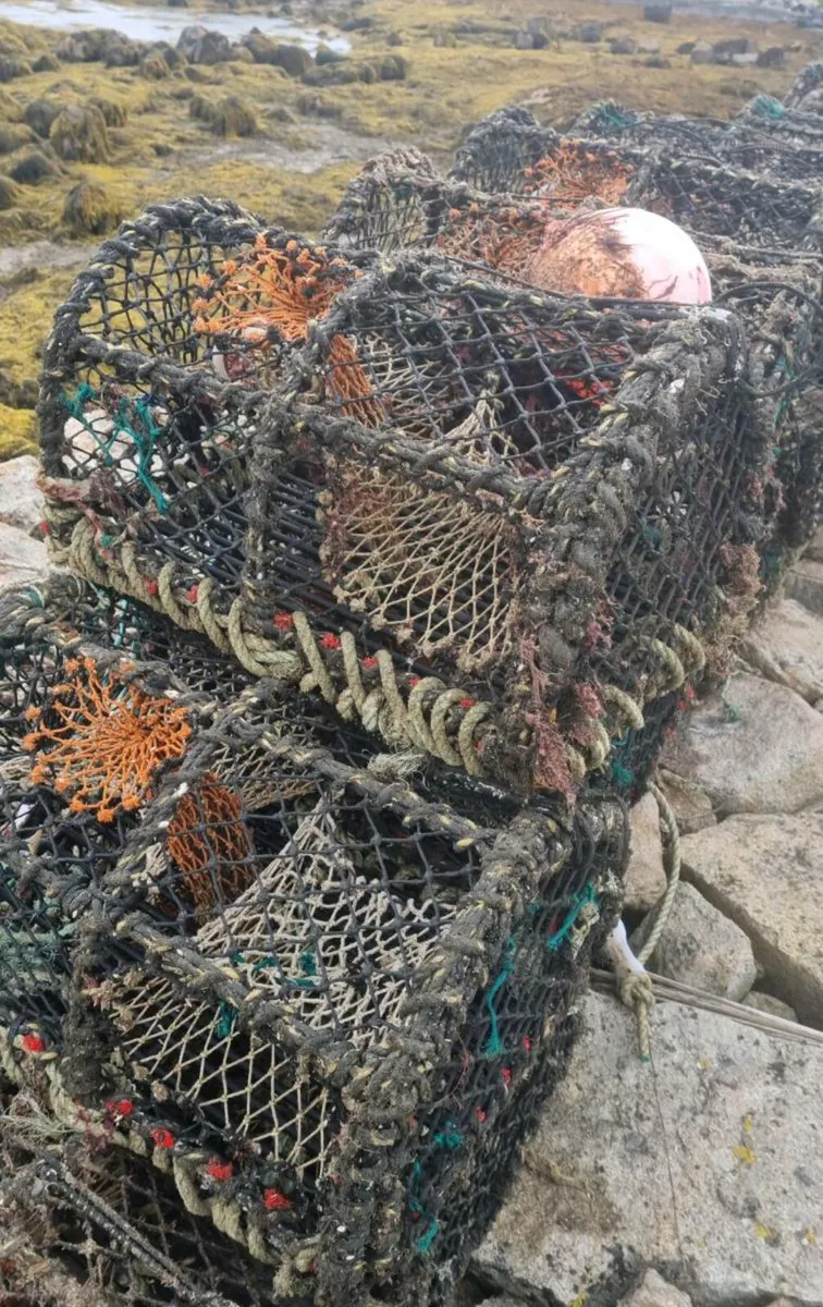 Lobster pots - Image 1