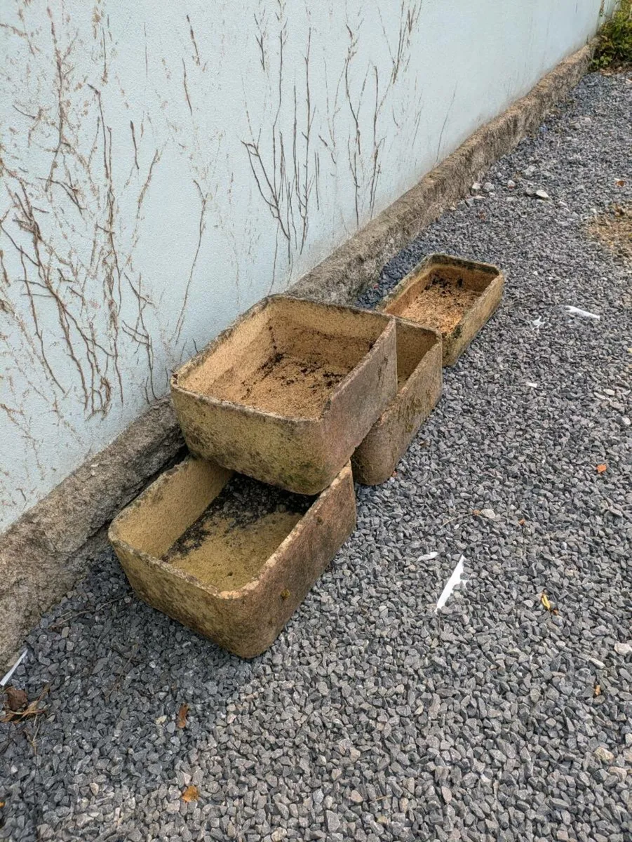 Clay planters - Image 2