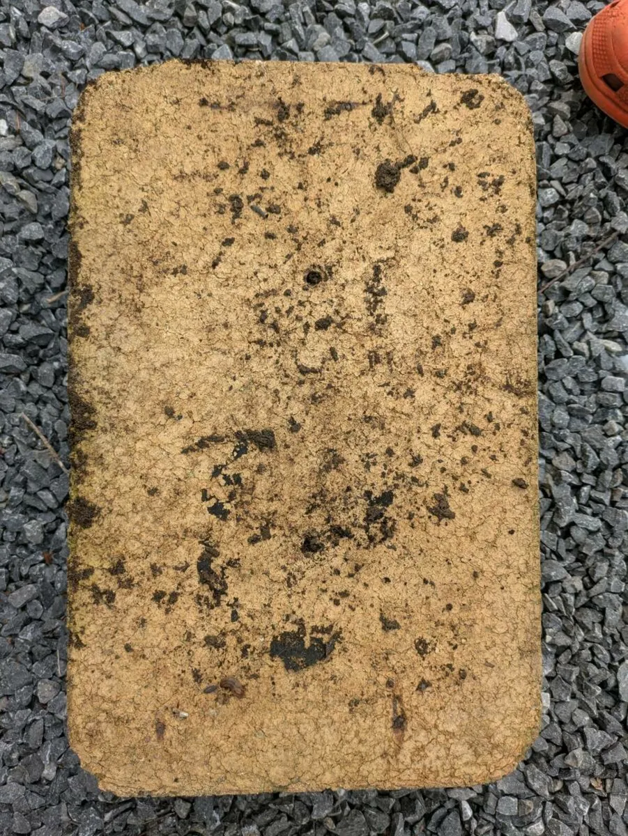 Clay planters - Image 3