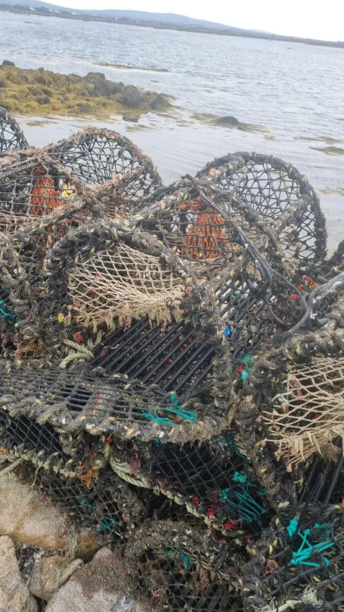 Lobster pots - Image 3