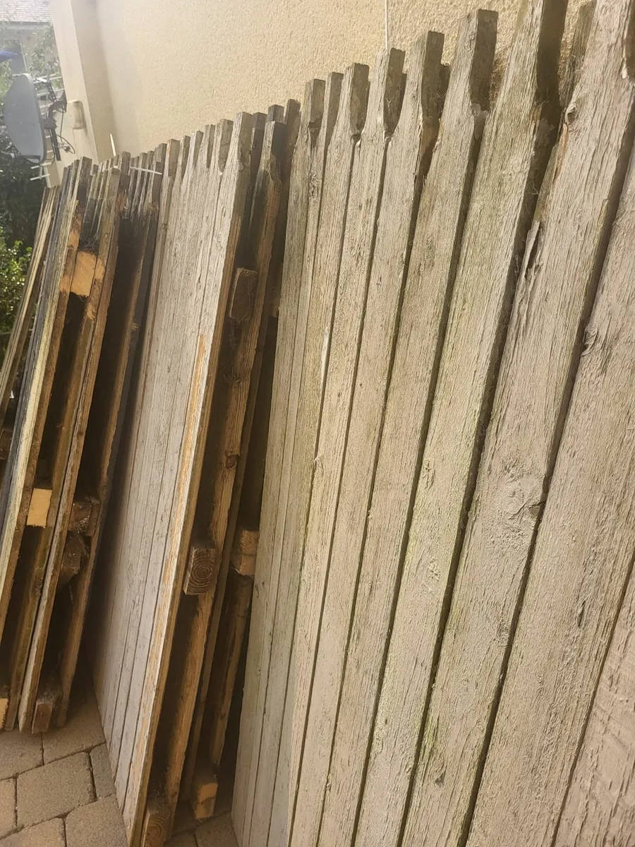 Fencing - Image 1