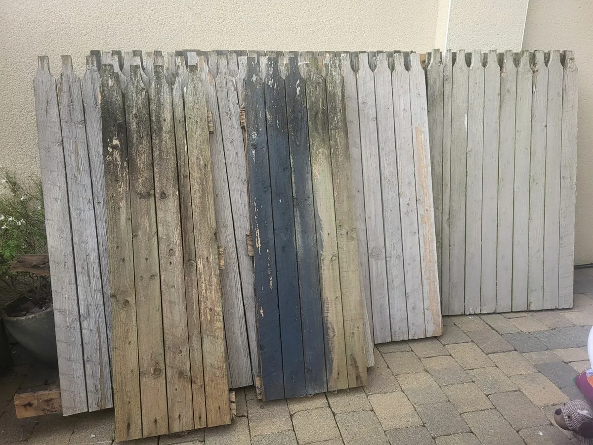 Fencing - Image 2
