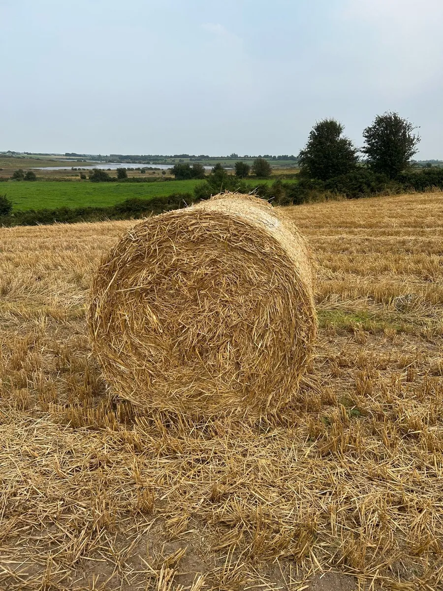 Straw - Image 1