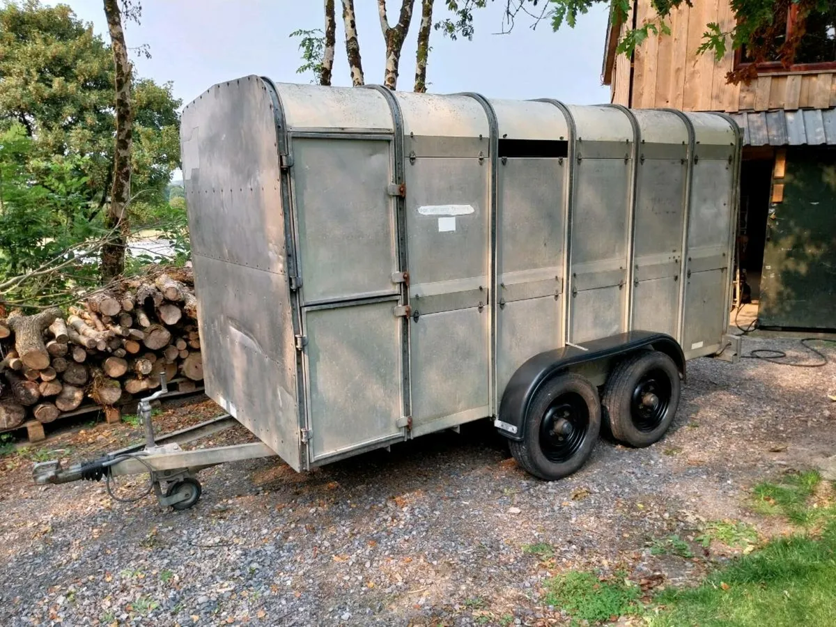 Ifor Williams  stock trailer - Image 1