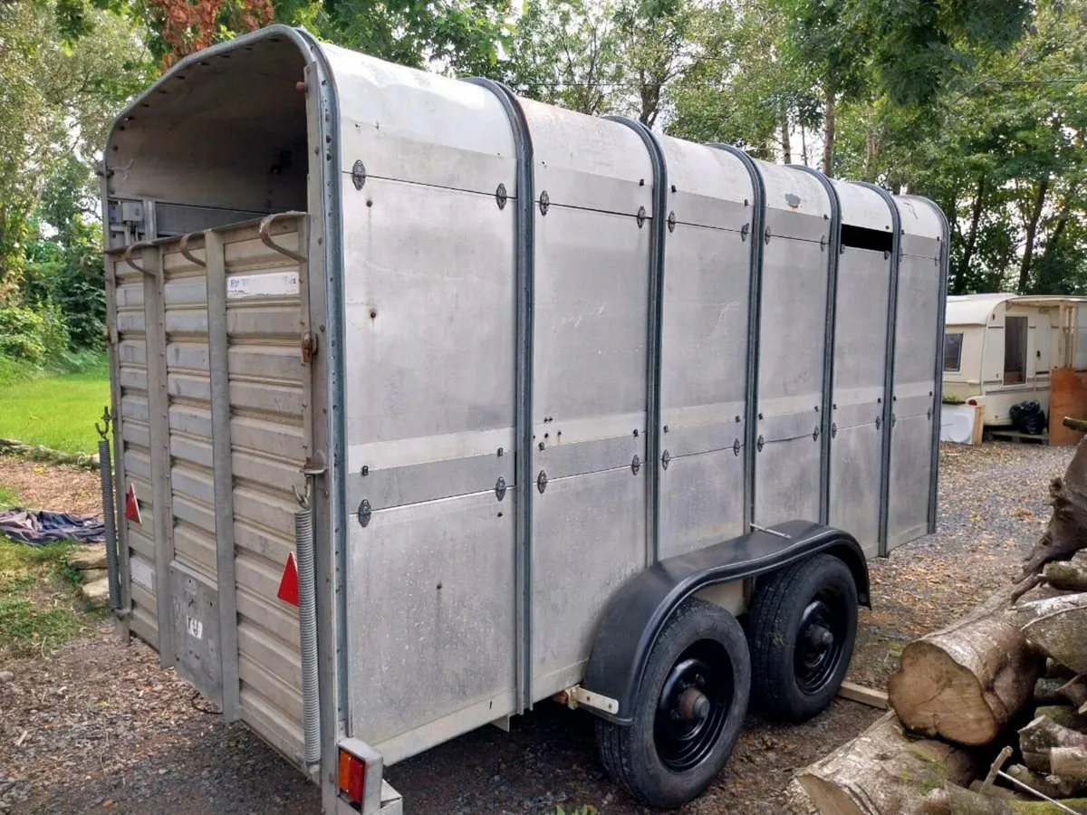 Ifor Williams  stock trailer - Image 3