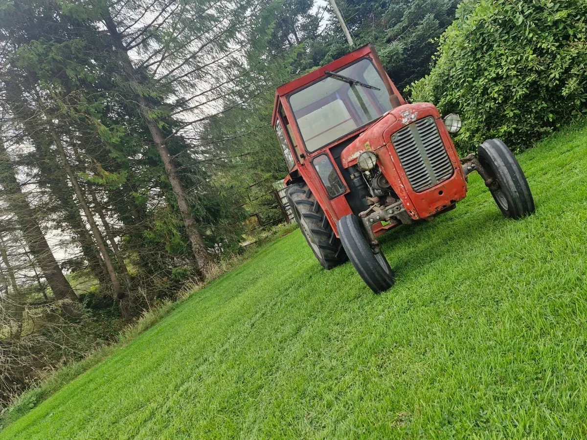 Massey Ferguson 35 with C&G cab - Image 2