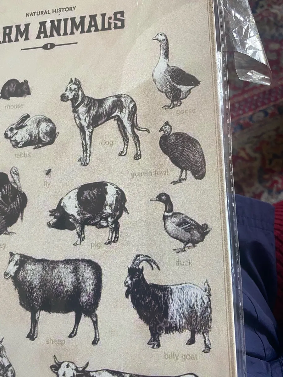 Metal Farm Animals Sign - Image 3