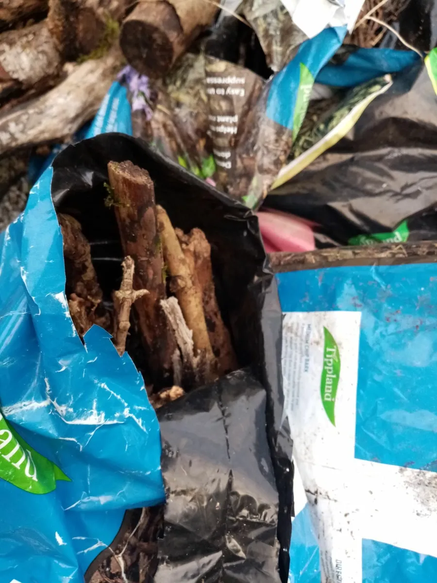 Wood and kindling - Image 3