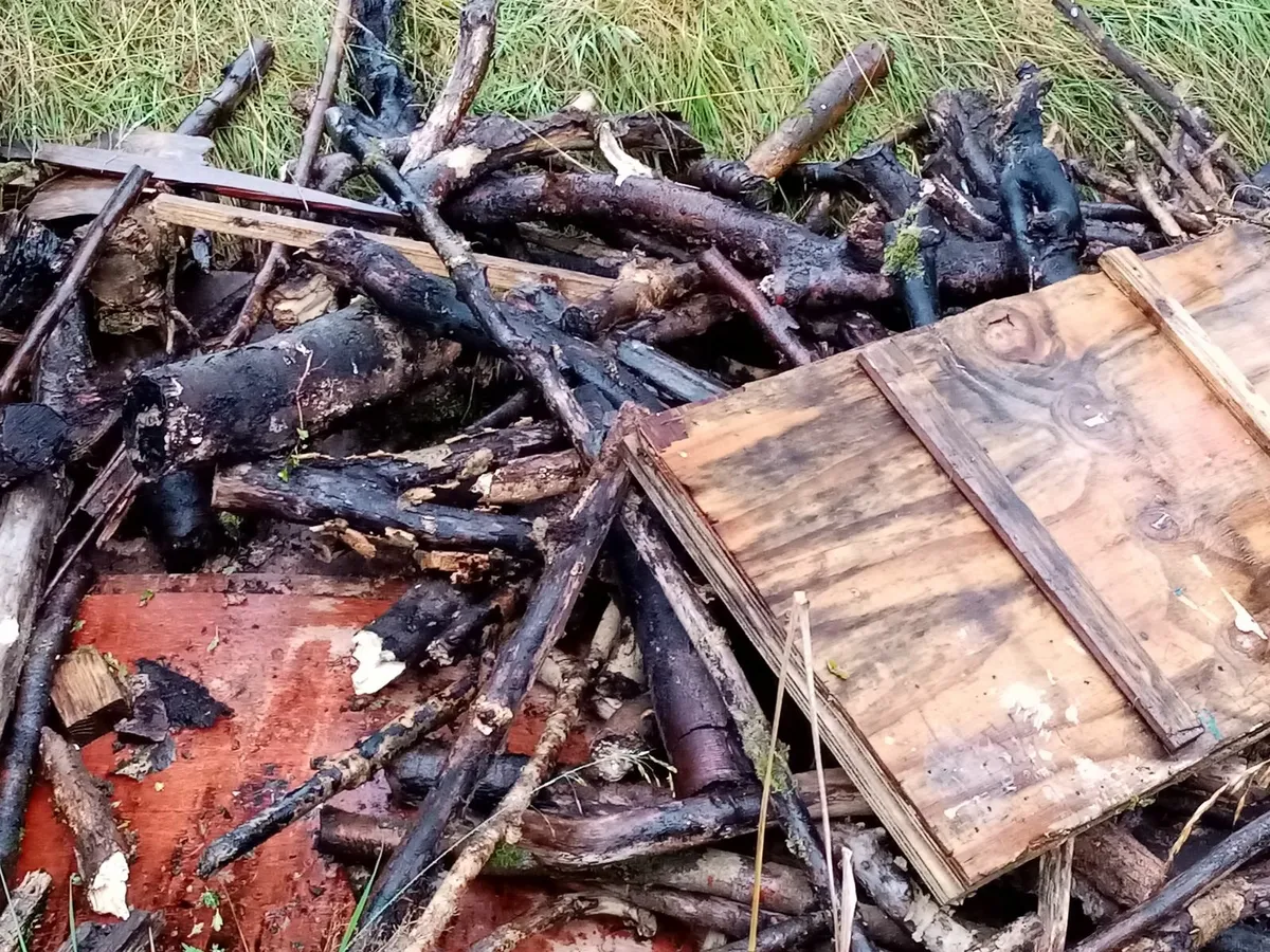 Wood and kindling - Image 1