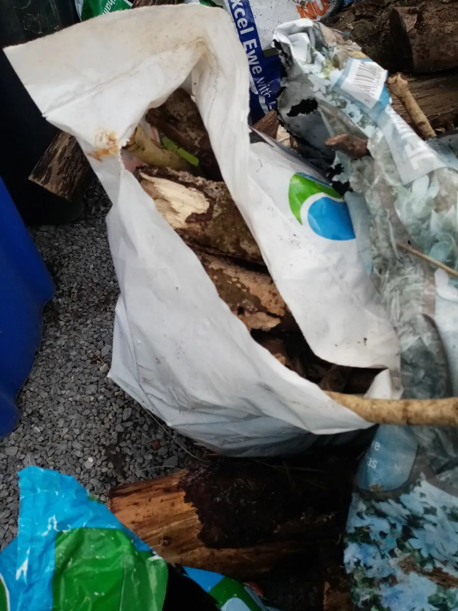 Wood and kindling - Image 2