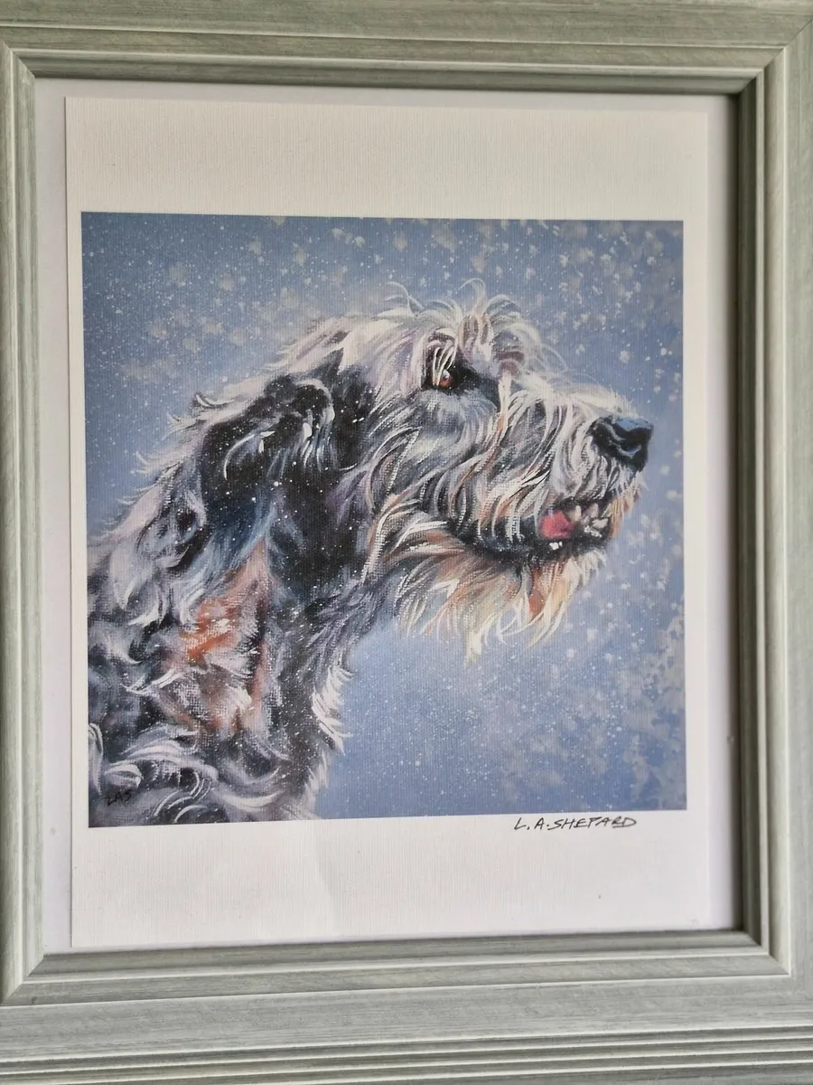 Framed print of Irish Wolfhound - Image 1