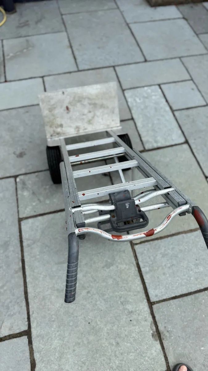 Trolly (3 in 1) - Image 4