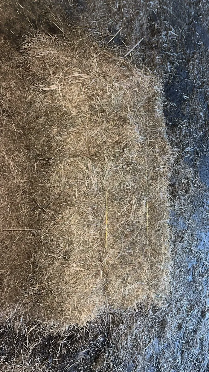 Square bale hay - Image 2
