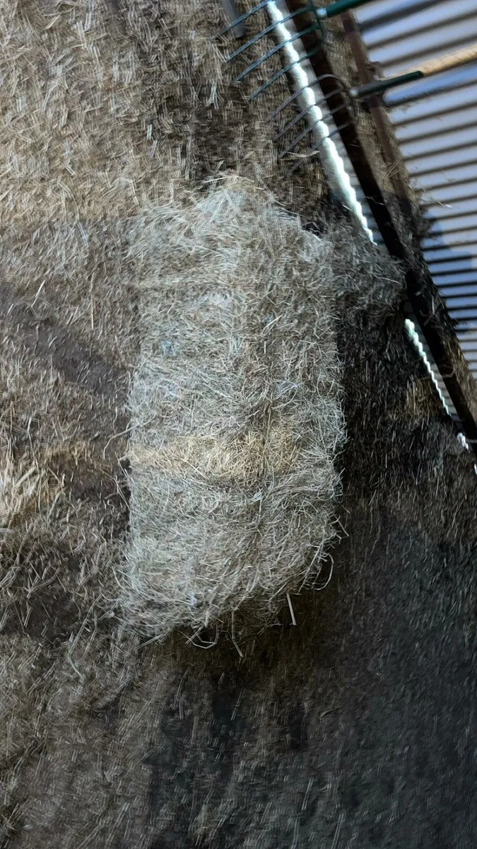 Square bale hay - Image 3