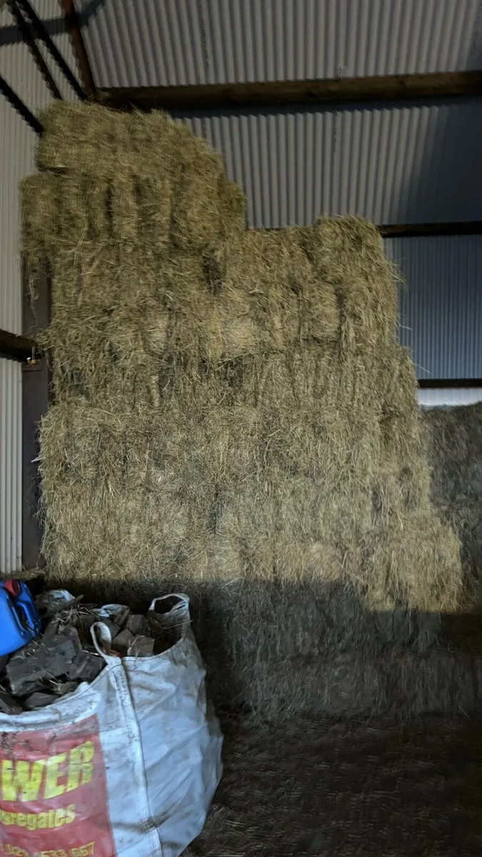 Square bale hay - Image 4