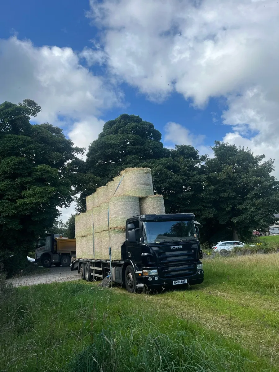 600 Round bales of wheat straw available. - Image 4