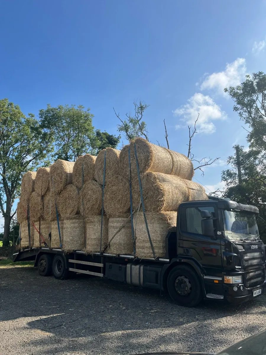 600 Round bales of wheat straw available. - Image 1