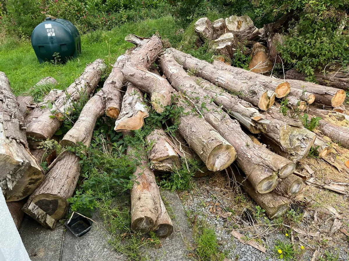 Firewood logs (leylandiis) - Image 2