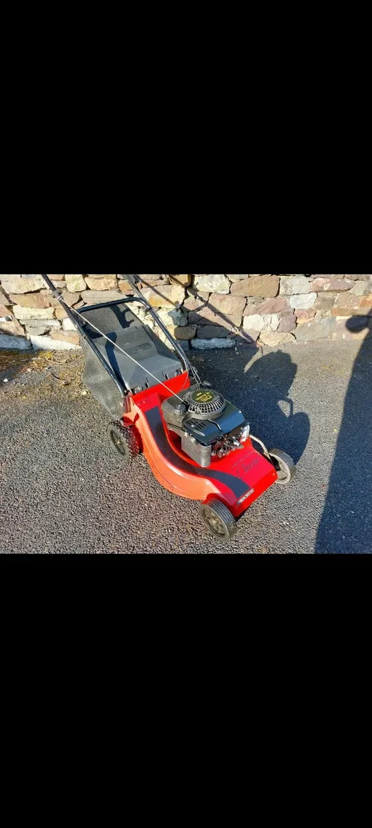 Self-propelled Mower - Image 2