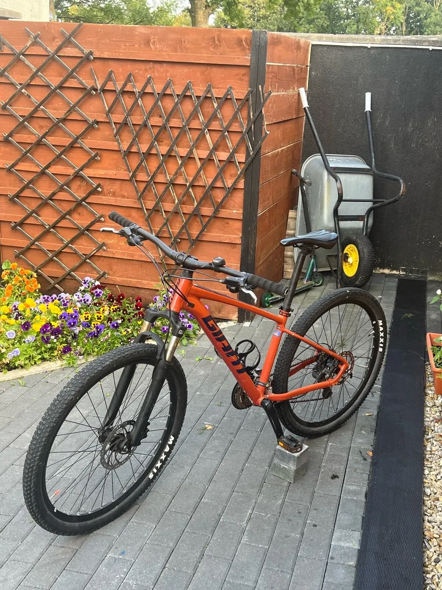 Giant mountain bike - Image 2