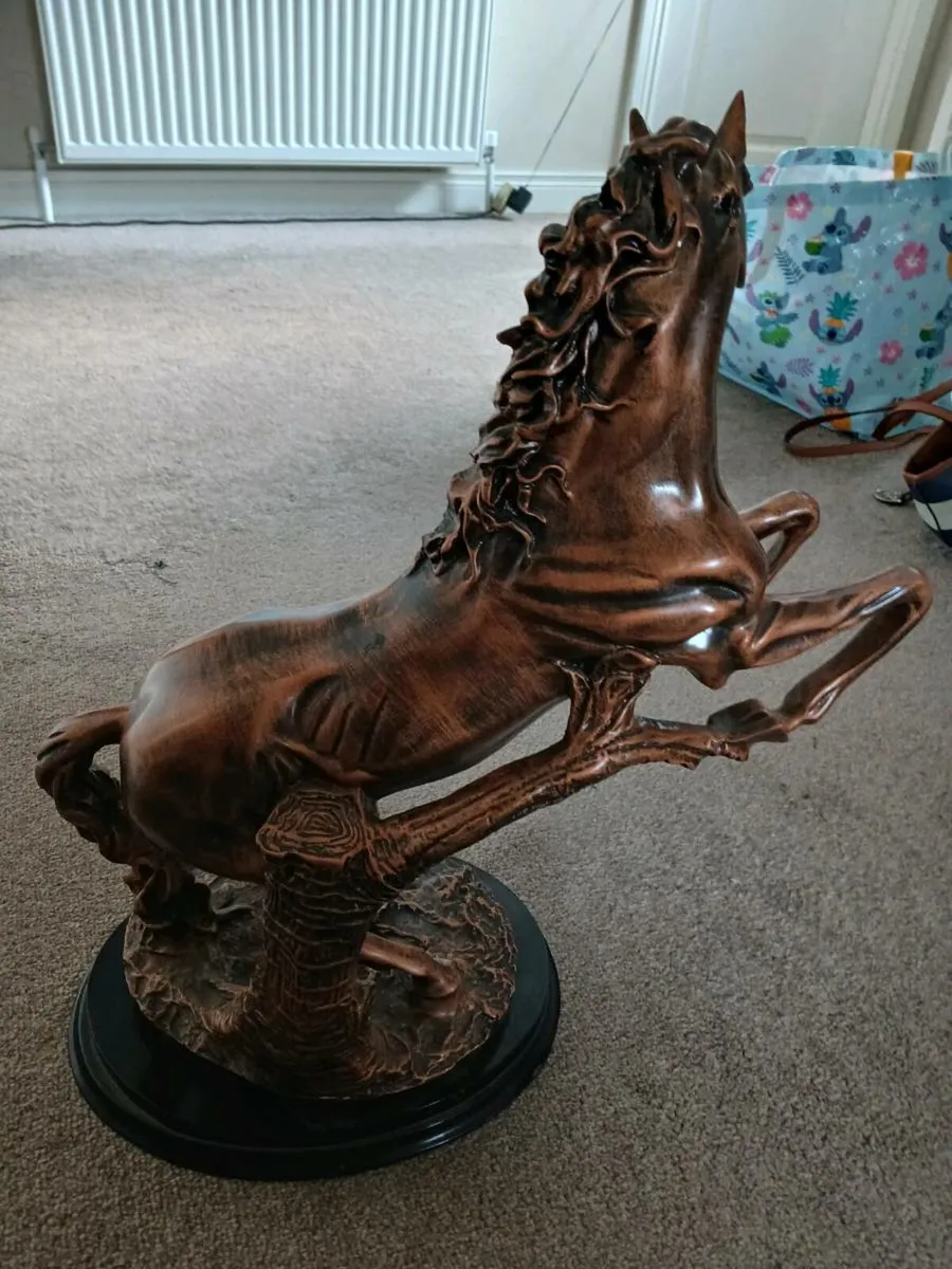 Horse for sale - Image 1