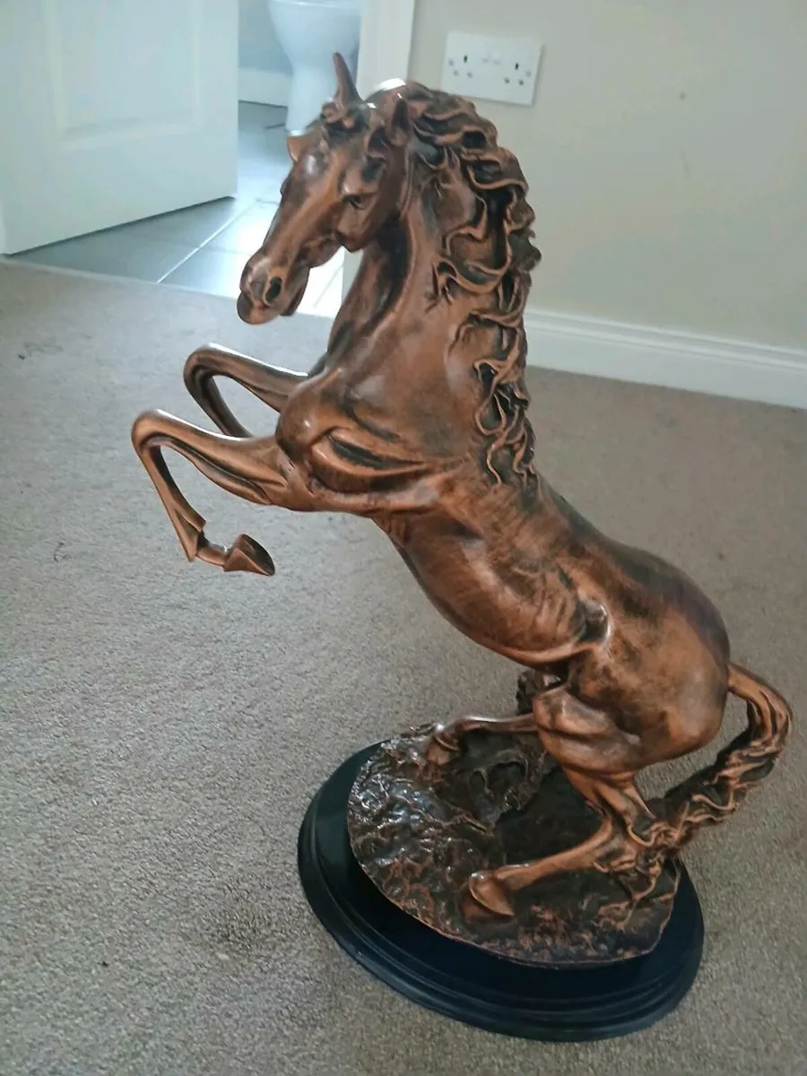 Horse for sale - Image 2