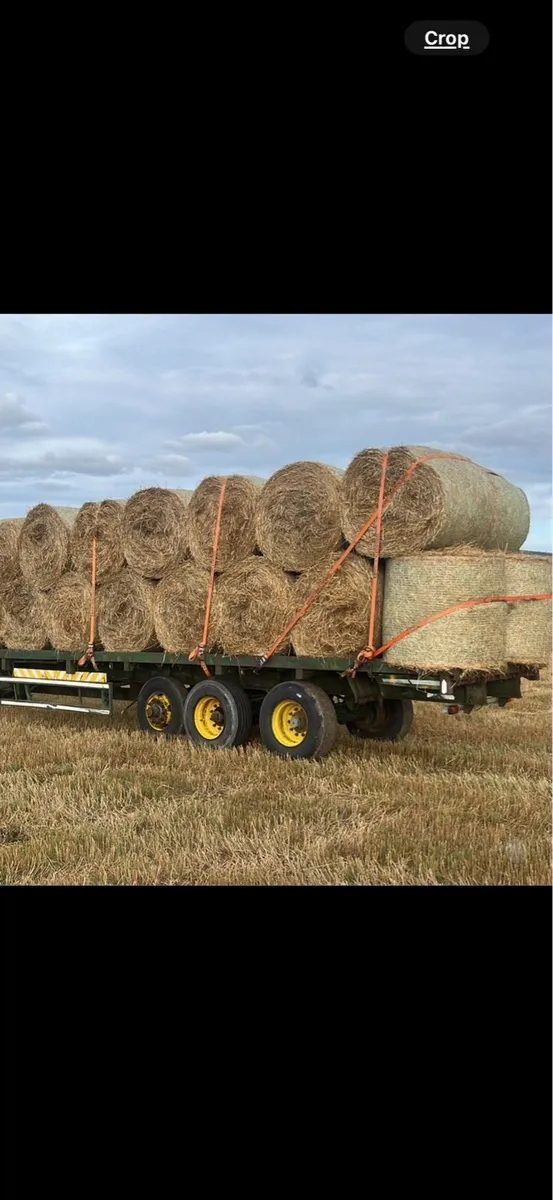 Barley and oaten straw