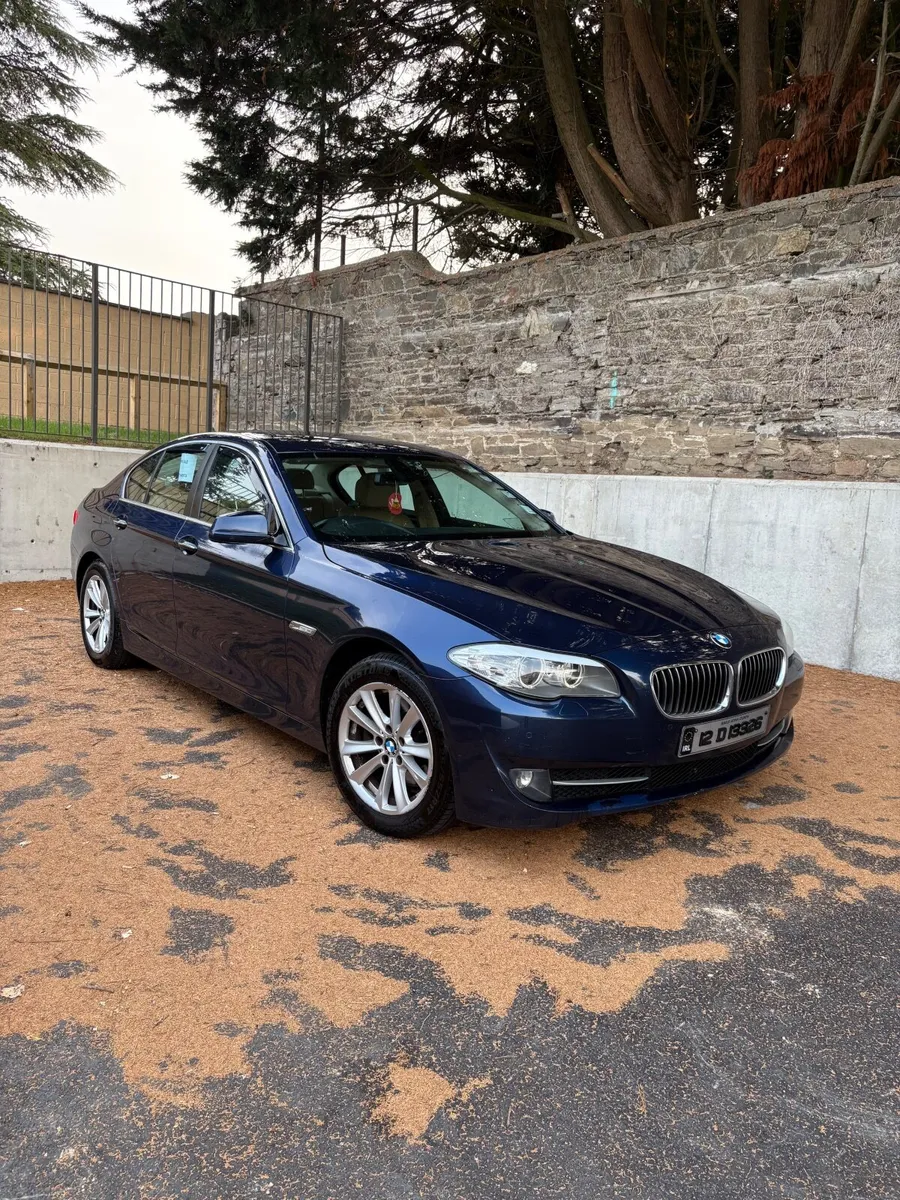 2012 bmw 5 series efficient dynamics - Image 1