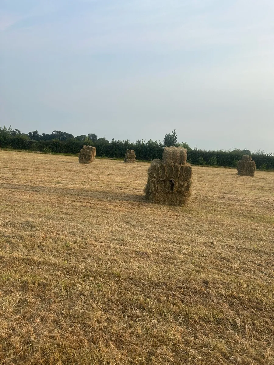 Square Hay Bales - Image 1