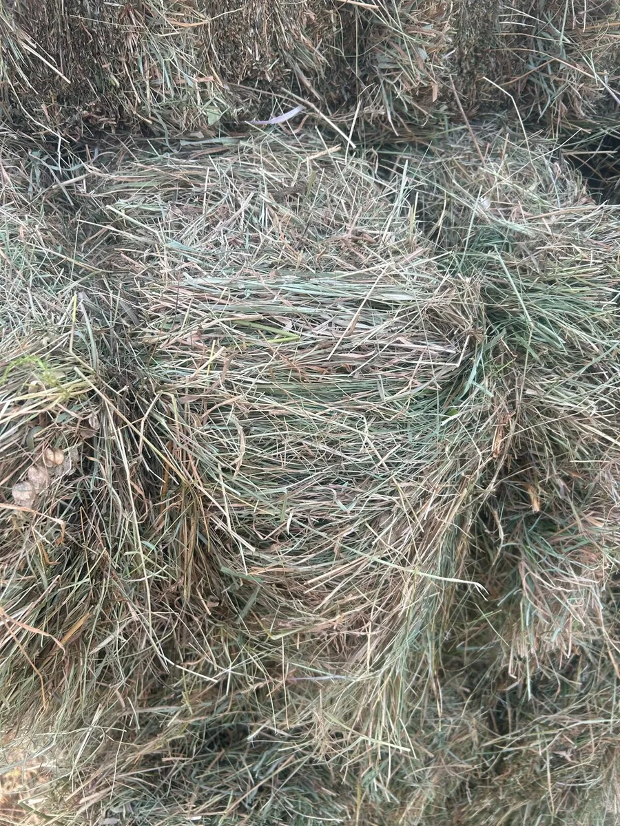 Square Hay Bales - Image 2