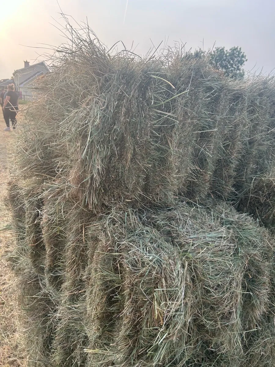 Square Hay Bales - Image 3