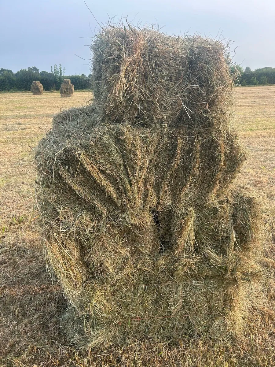 Square Hay Bales - Image 4