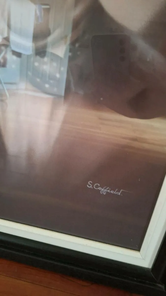 Picture - Image 3