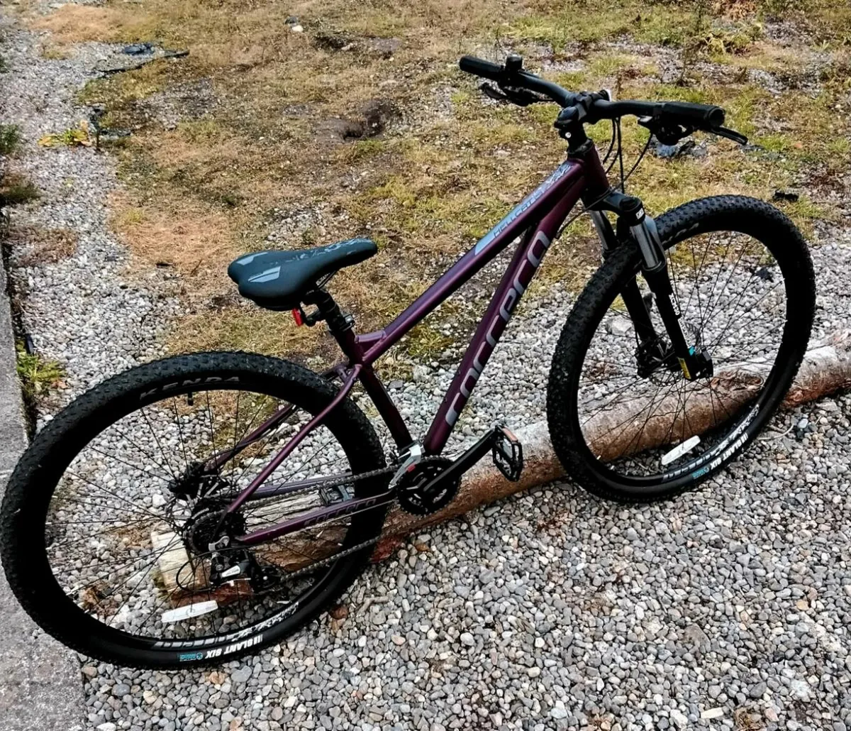 Mountain Bike - Image 1