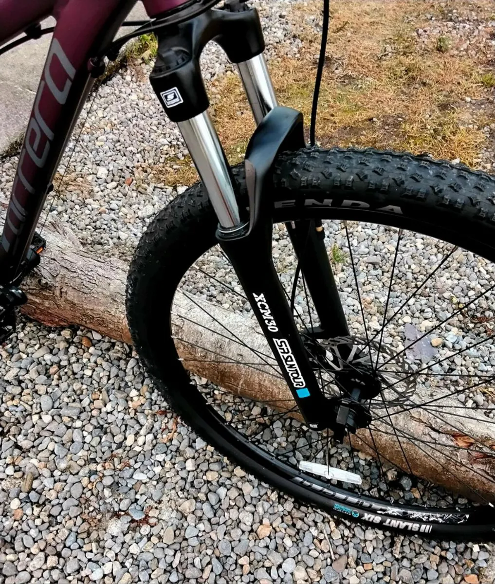 Mountain Bike - Image 2